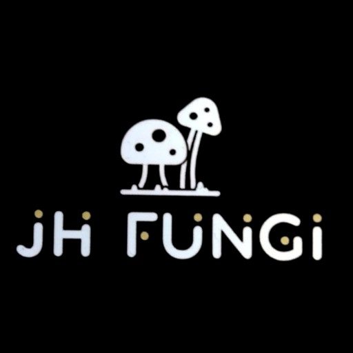 Minimalist logo for JH FUNGI on a black background, featuring white spotted mushroom line art and stylized white text accented with gold dots.